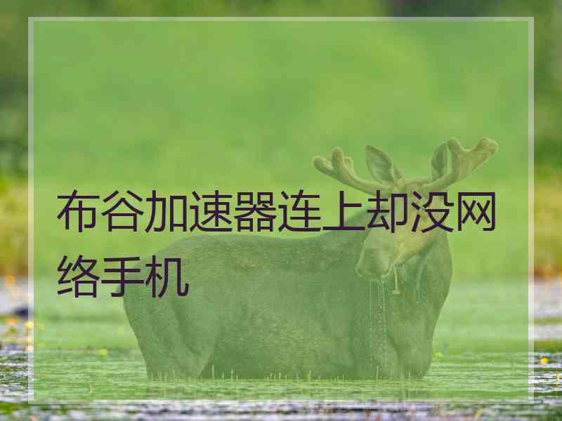 布谷加速器连上却没网络手机