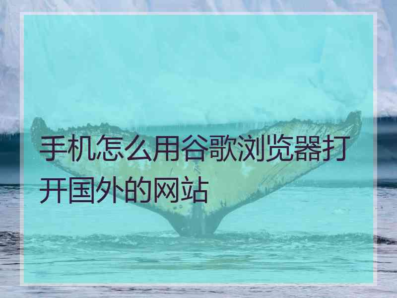 手机怎么用谷歌浏览器打开国外的网站