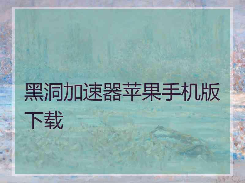 黑洞加速器苹果手机版下载