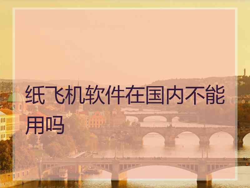 纸飞机软件在国内不能用吗