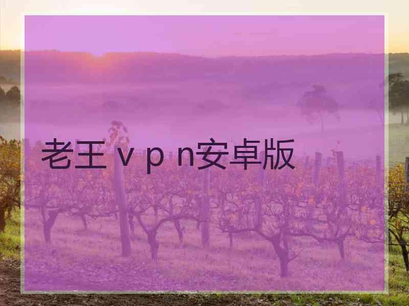 老王 v p n安卓版