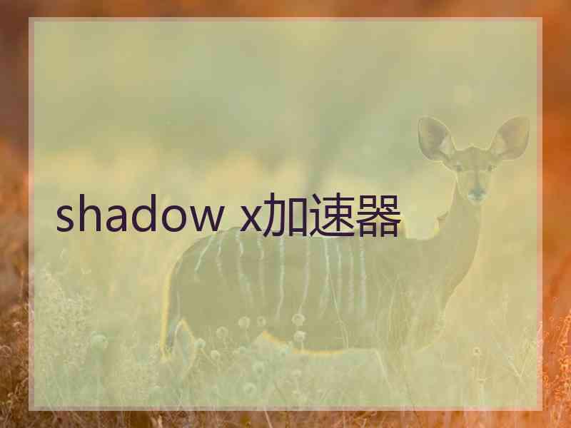 shadow x加速器