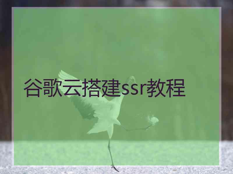 谷歌云搭建ssr教程