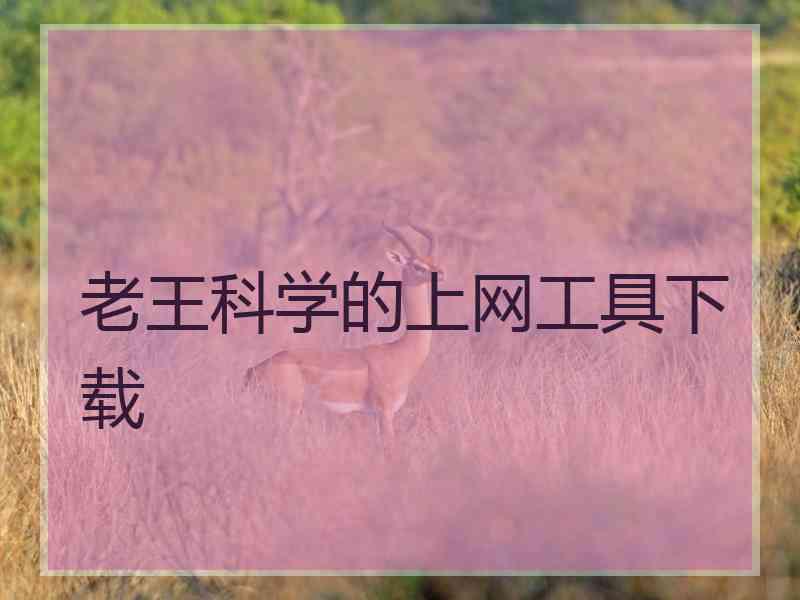 老王科学的上网工具下载