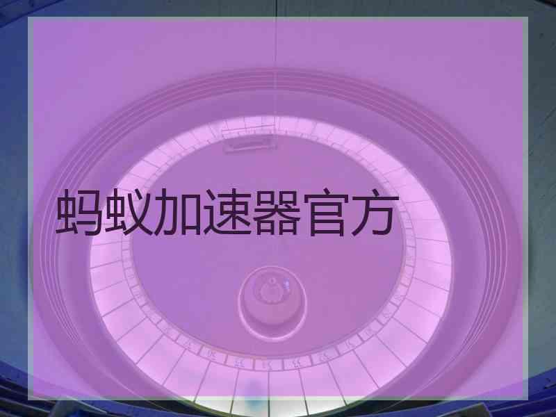 蚂蚁加速器官方