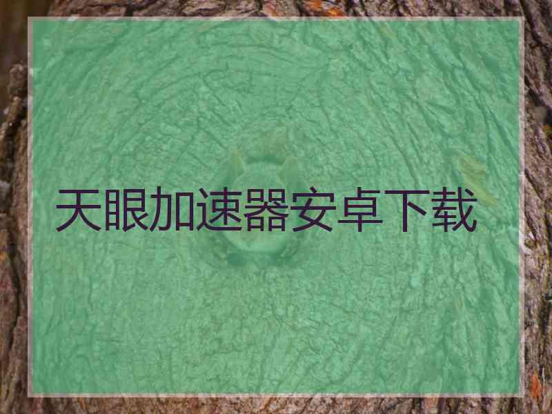 天眼加速器安卓下载