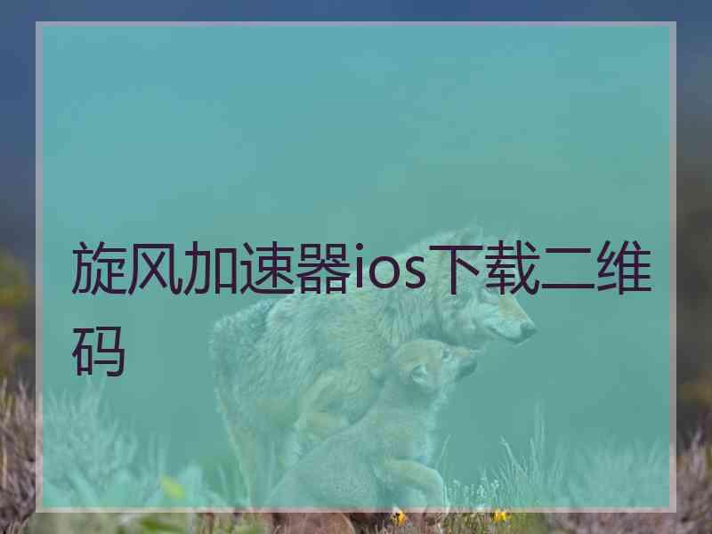 旋风加速器ios下载二维码