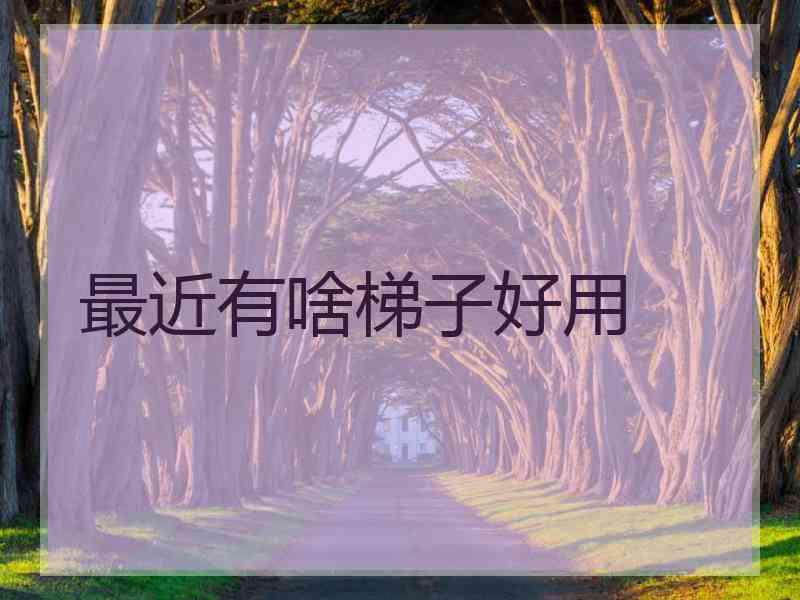 最近有啥梯子好用