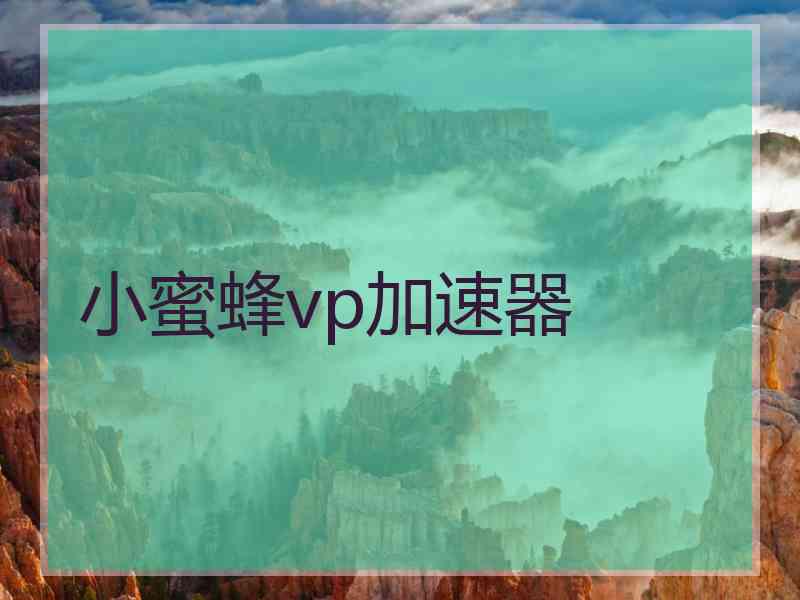 小蜜蜂vp加速器