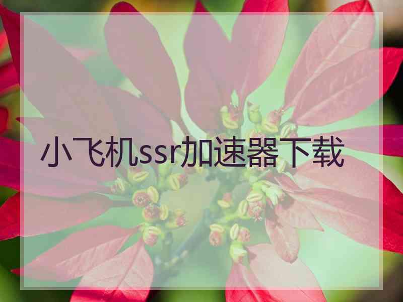 小飞机ssr加速器下载
