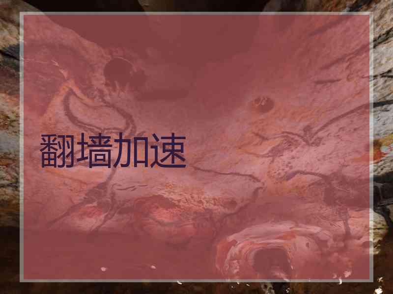 翻墙加速