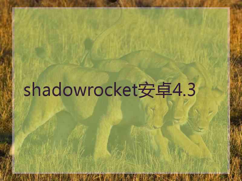 shadowrocket安卓4.3