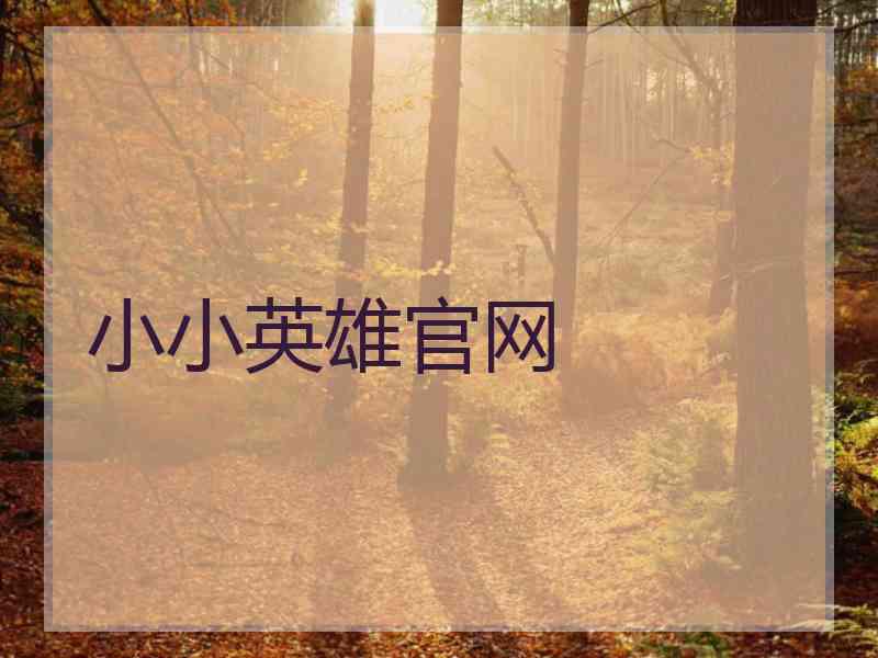 小小英雄官网