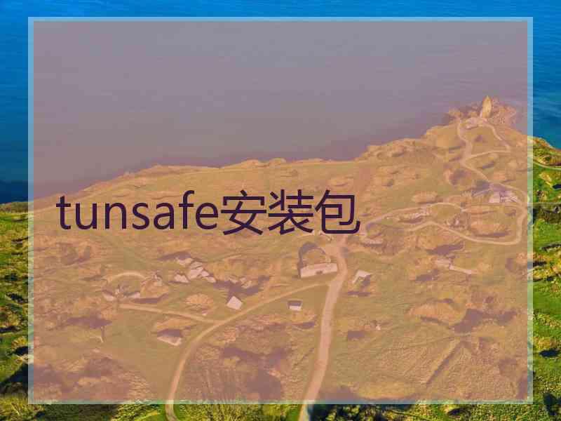 tunsafe安装包
