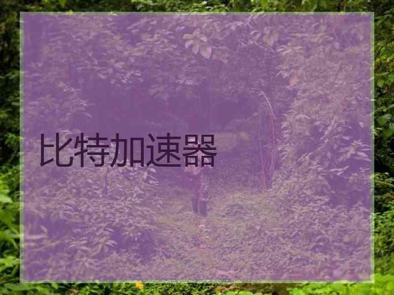 比特加速器