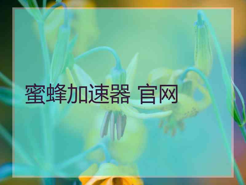 蜜蜂加速器 官网