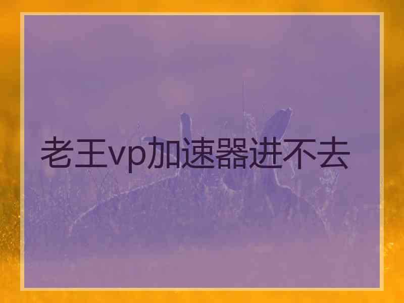 老王vp加速器进不去