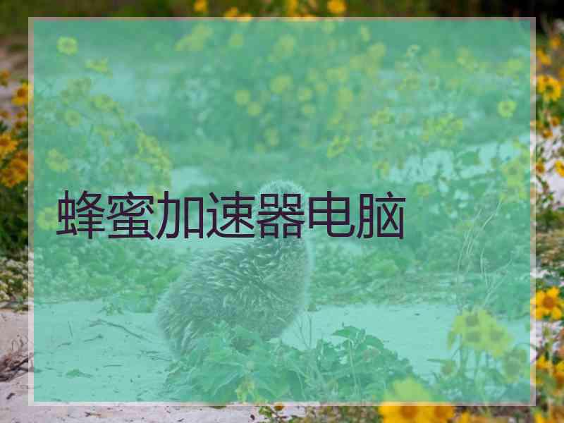 蜂蜜加速器电脑