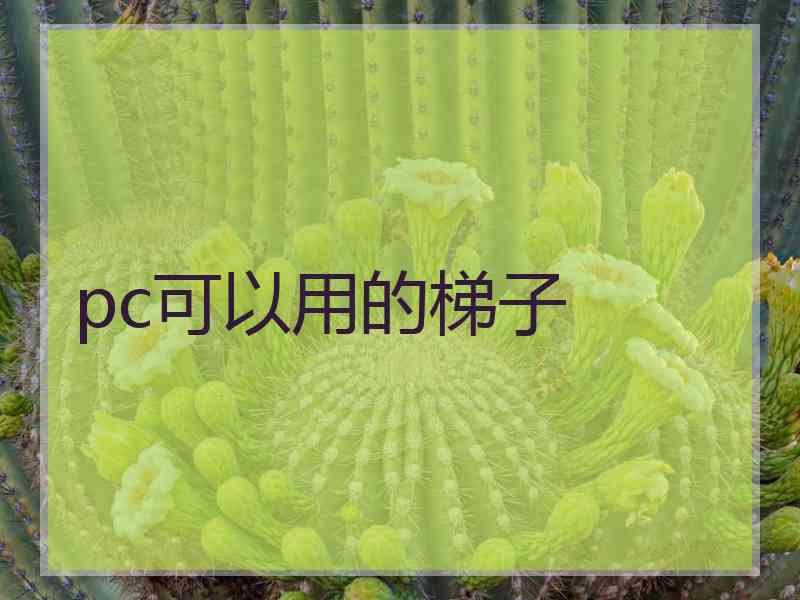 pc可以用的梯子