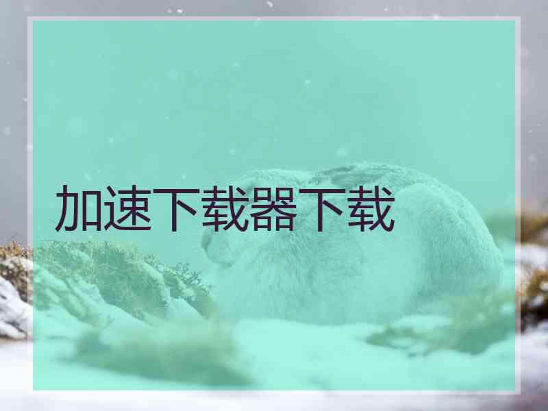 加速下载器下载