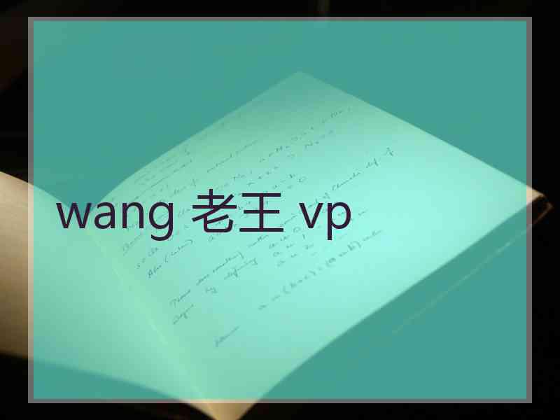 wang 老王 vp