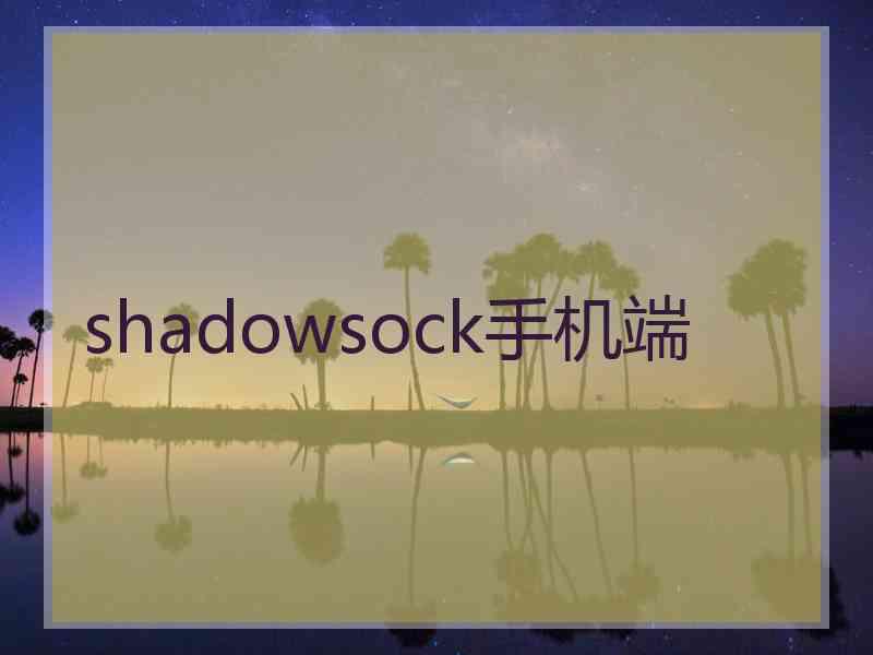 shadowsock手机端