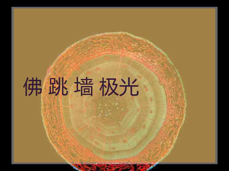 佛 跳 墙 极光