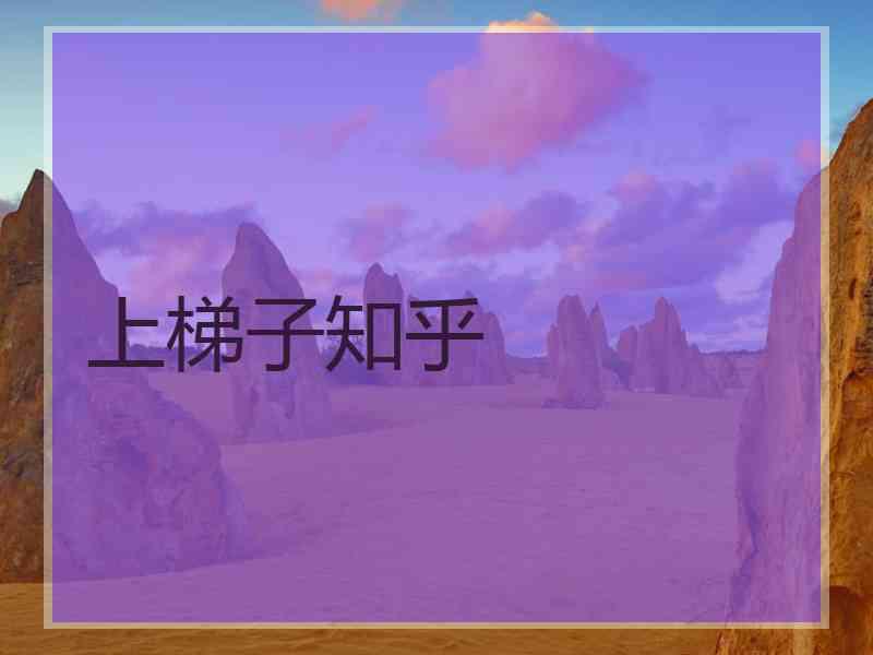 上梯子知乎