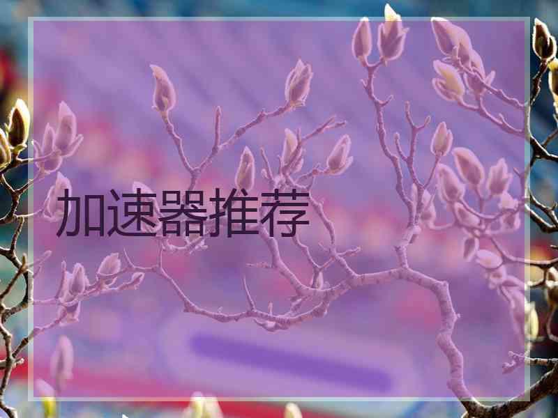 加速器推荐