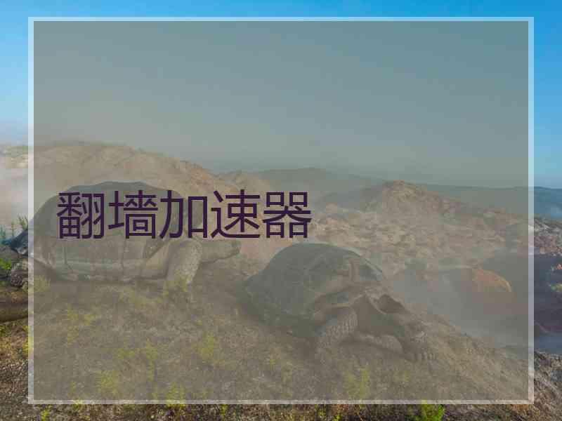 翻墻加速器