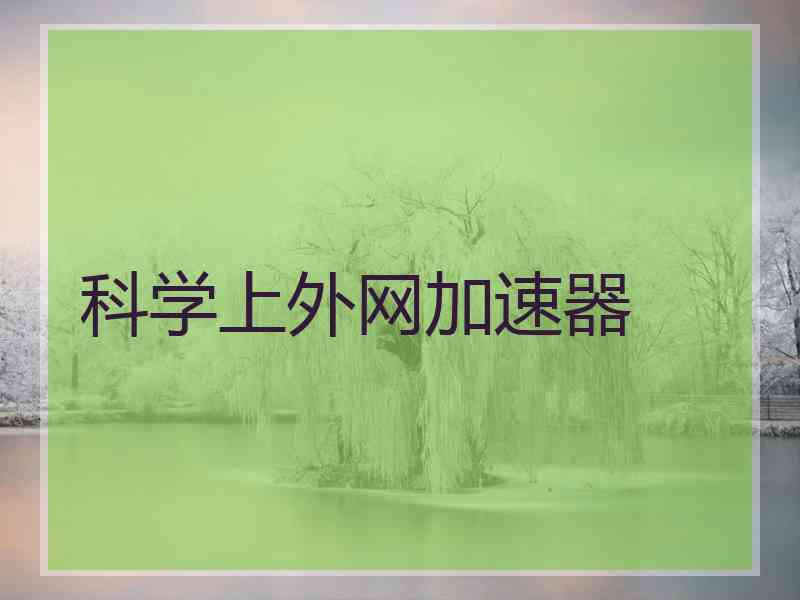 科学上外网加速器