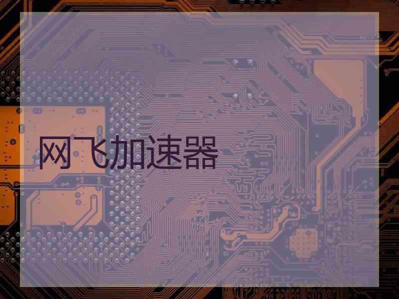网飞加速器