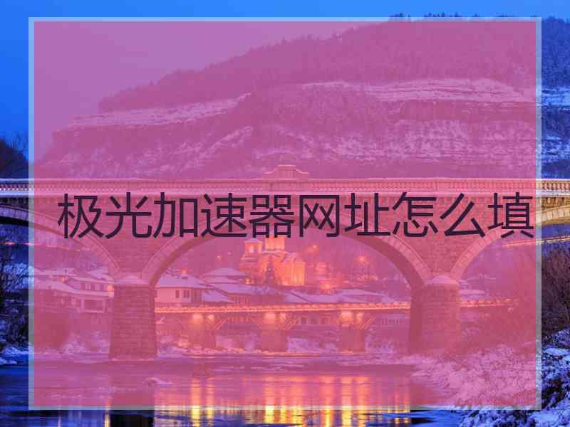 极光加速器网址怎么填