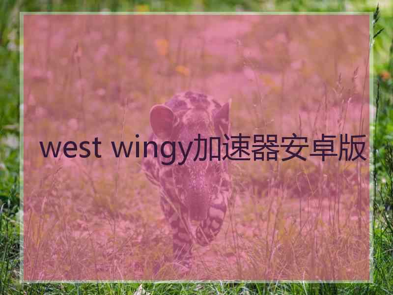 west wingy加速器安卓版