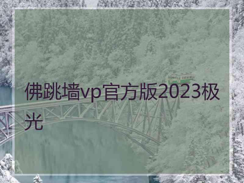 佛跳墙vp官方版2023极光