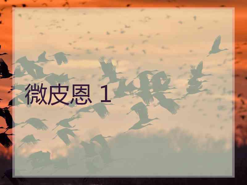 微皮恩 1