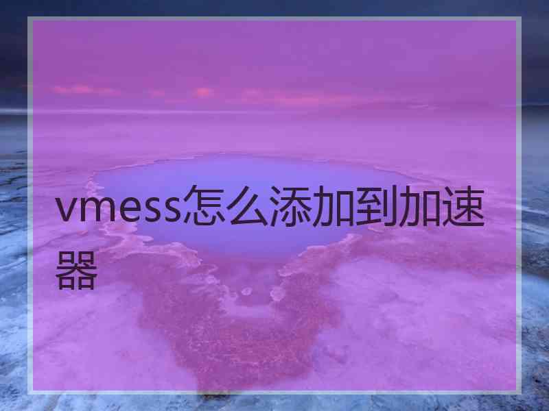 vmess怎么添加到加速器