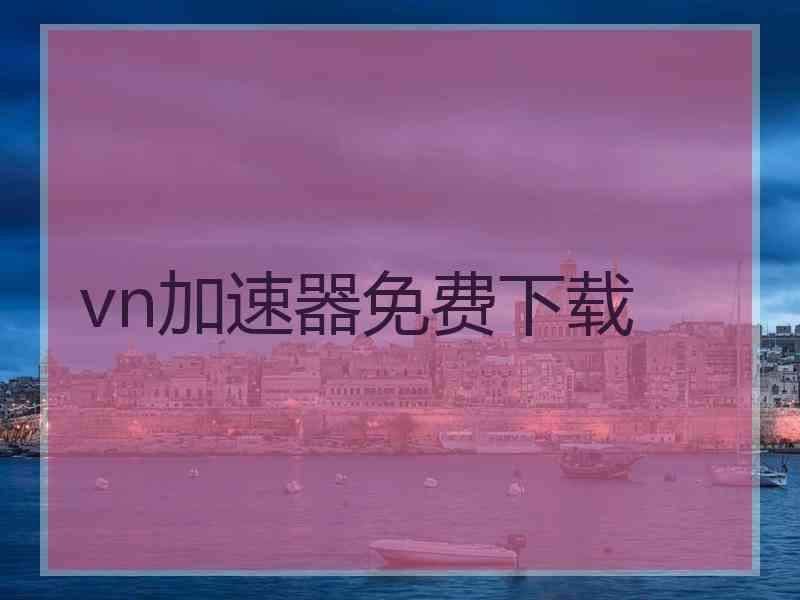 vn加速器免费下载
