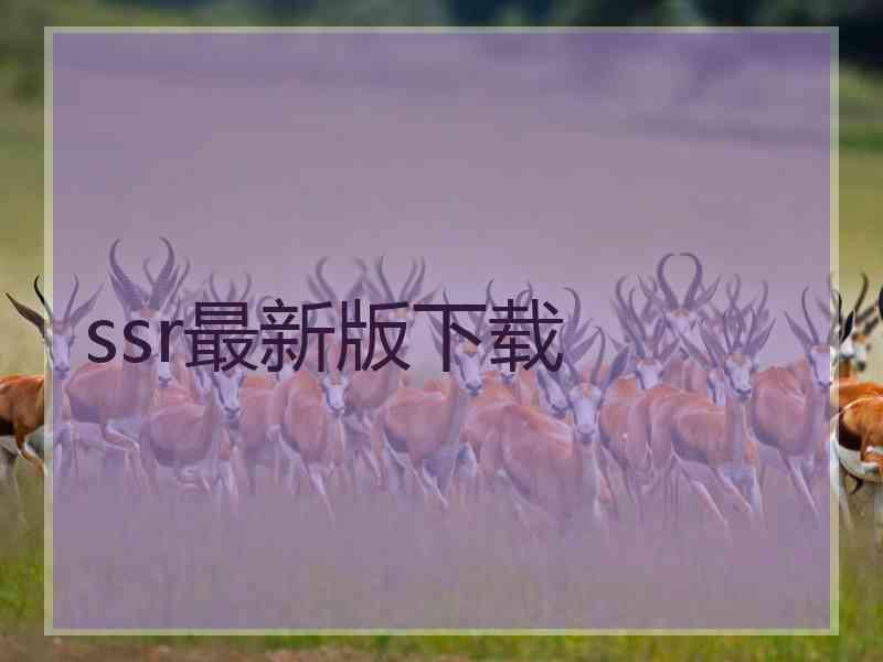 ssr最新版下载