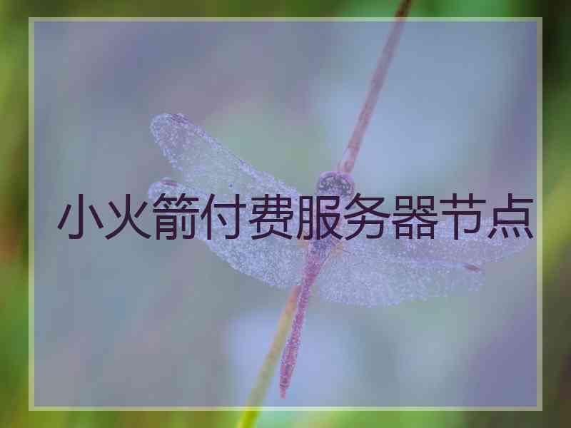 小火箭付费服务器节点