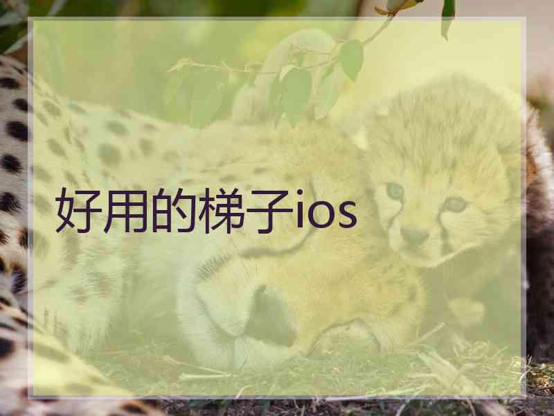 好用的梯子ios