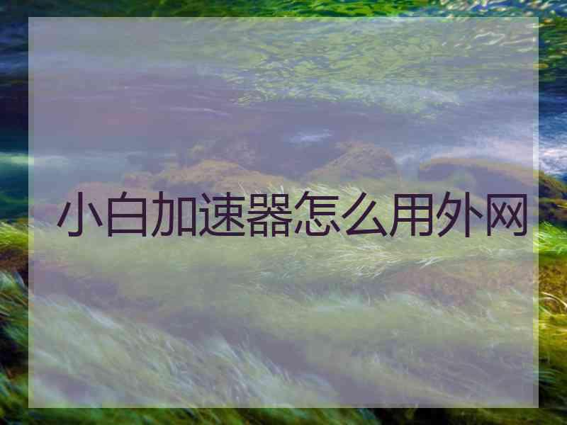 小白加速器怎么用外网