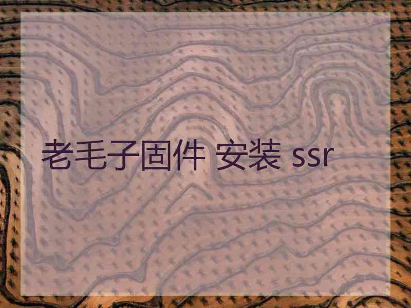 老毛子固件 安装 ssr
