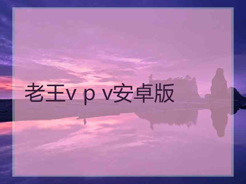 老王v p v安卓版