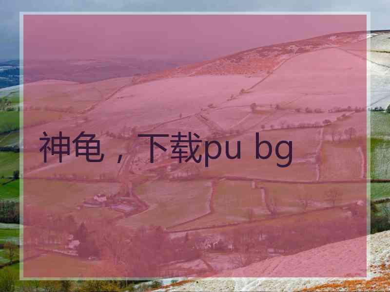 神龟，下载pu bg