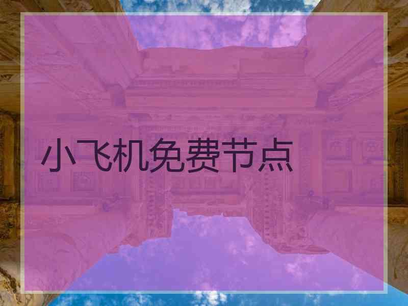 小飞机免费节点