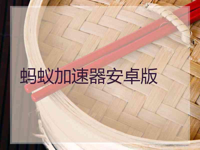 蚂蚁加速器安卓版