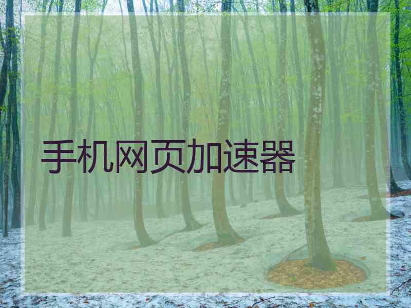 手机网页加速器