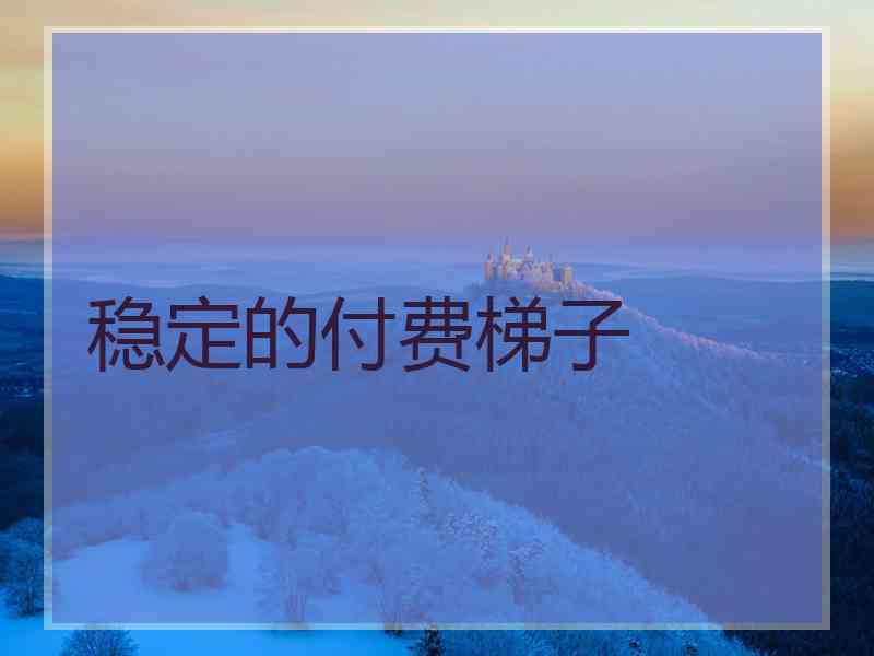 稳定的付费梯子