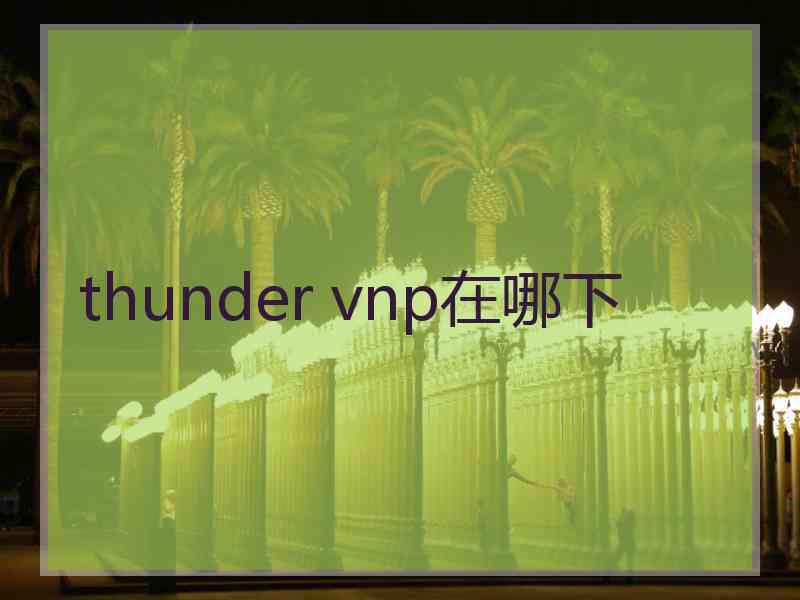 thunder vnp在哪下
